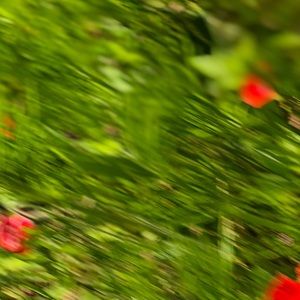 Meet your Posher, Max